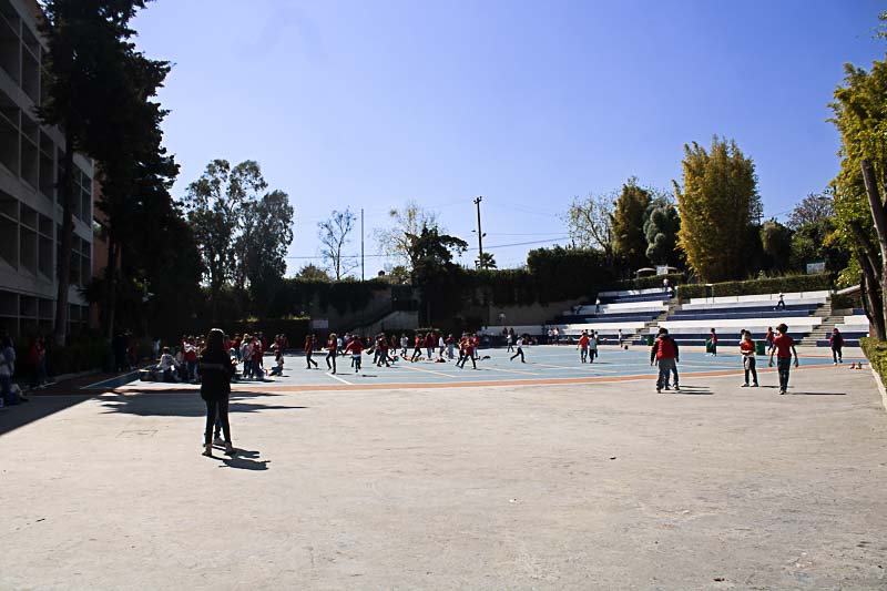 Ir a la Siguiente Foto