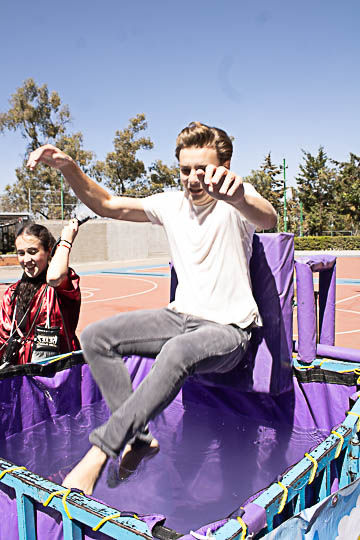 Ir a la Siguiente Foto