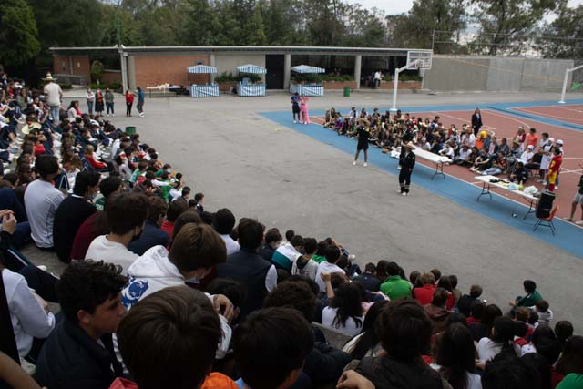 Ir a la Siguiente Foto