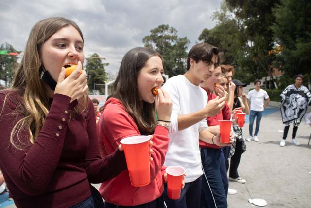 Ir a la Siguiente Foto