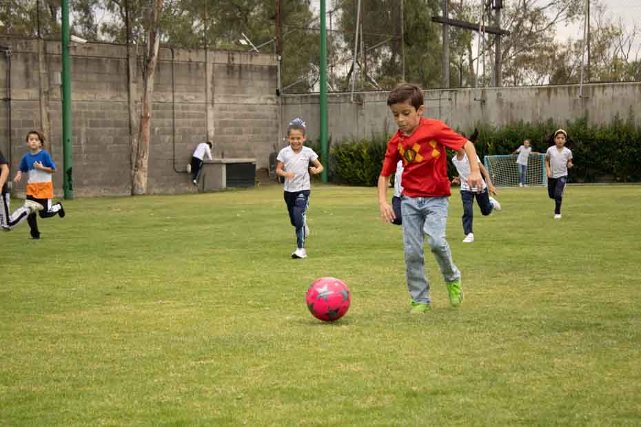Ir a la Siguiente Foto