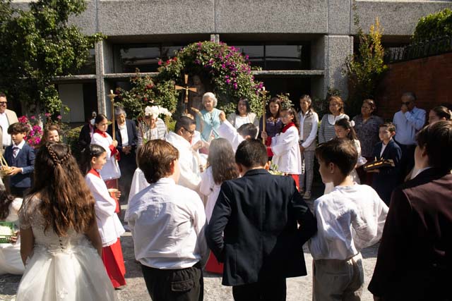 Ir a la Siguiente Foto