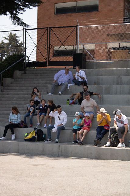 Ir a la Siguiente Foto