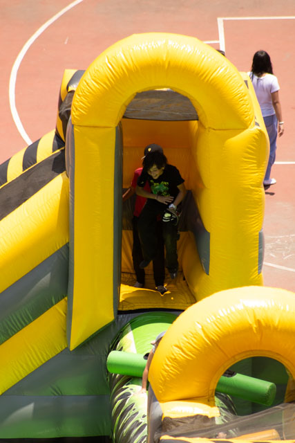 Ir a la Siguiente Foto