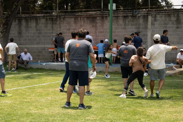 Ir a la Siguiente Foto