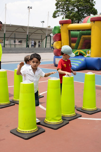 Ir a la Siguiente Foto