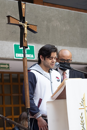 Ir a la Siguiente Foto