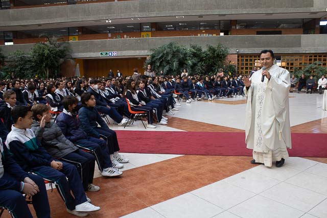 Ir a la Siguiente Foto