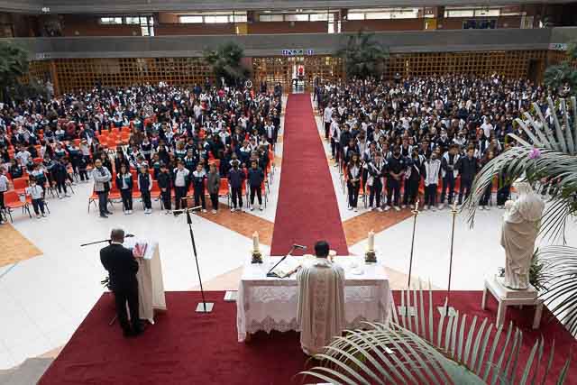 Ir a la Siguiente Foto