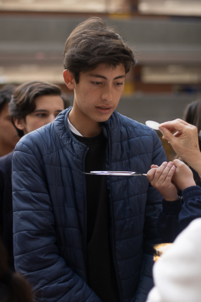 Ir a la Siguiente Foto