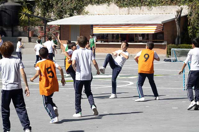 Ir a la Siguiente Foto