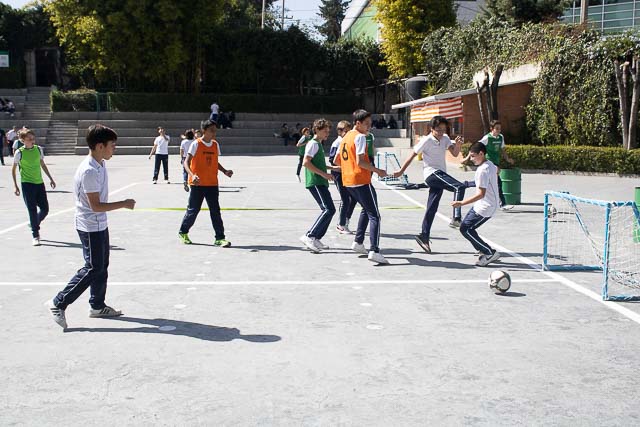 Ir a la Siguiente Foto