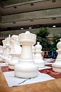 30082022expo_actividades_cemsep202217.jpg
