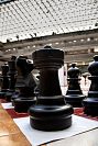 30082022expo_actividades_cemsep202218.jpg