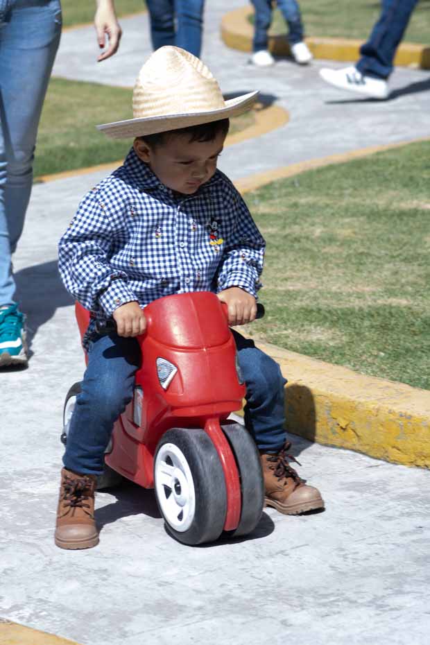 Ir a la Siguiente Foto