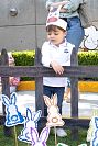 exposicion_proyecto_beginner2023133.jpg