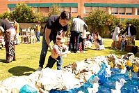 exposicion_proyecto_beginner2023213.jpg