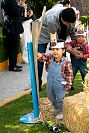 exposicion_proyecto_beginner2023215.jpg