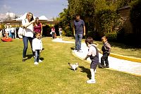 exposicion_proyecto_beginner2023252.jpg