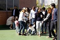 exposicion_proyecto_beginner202329.jpg