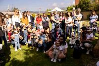 exposicion_proyecto_beginner202372.jpg
