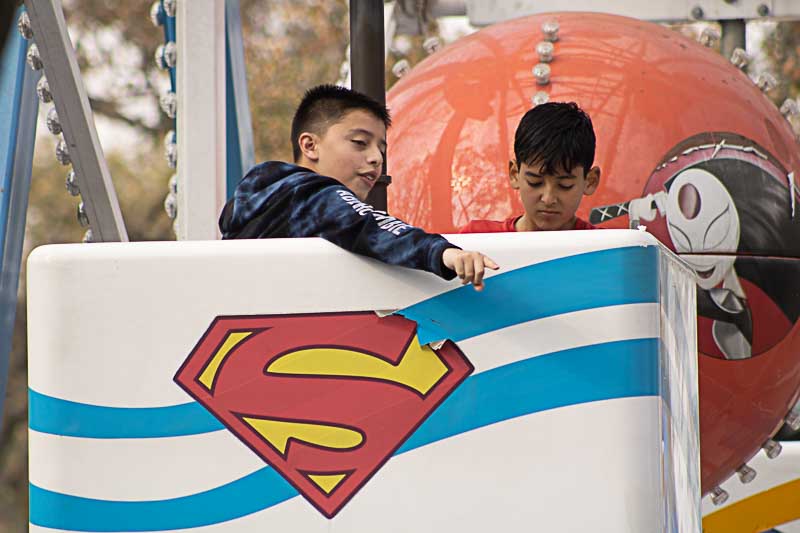 Ir a la Siguiente Foto