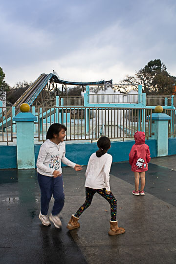 Ir a la Siguiente Foto