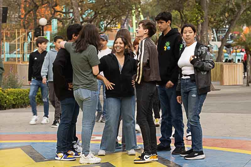 Ir a la Siguiente Foto