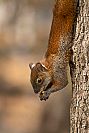 15032023kermesse_sixflags2023316.jpg