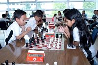 muestra_CEM_fincurso2023383.jpg