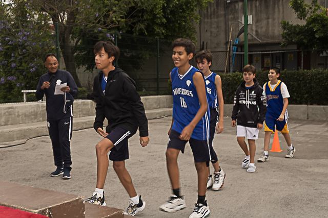 Ir a la Siguiente Foto