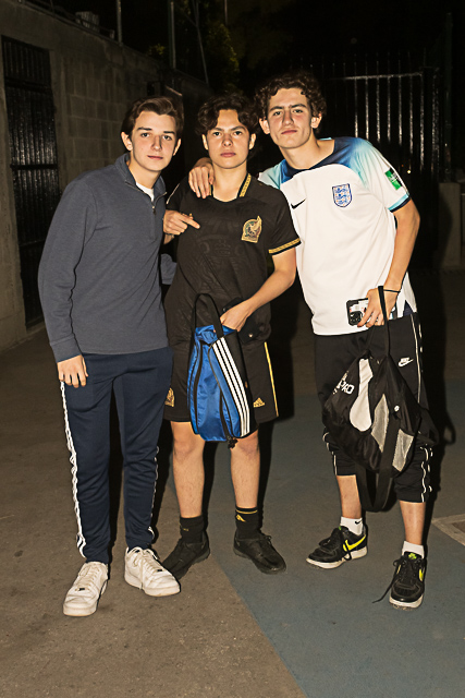 Ir a la Siguiente Foto