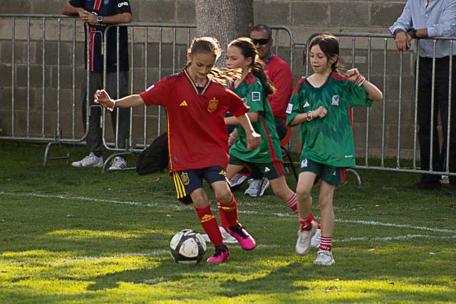 Ir a la Siguiente Foto