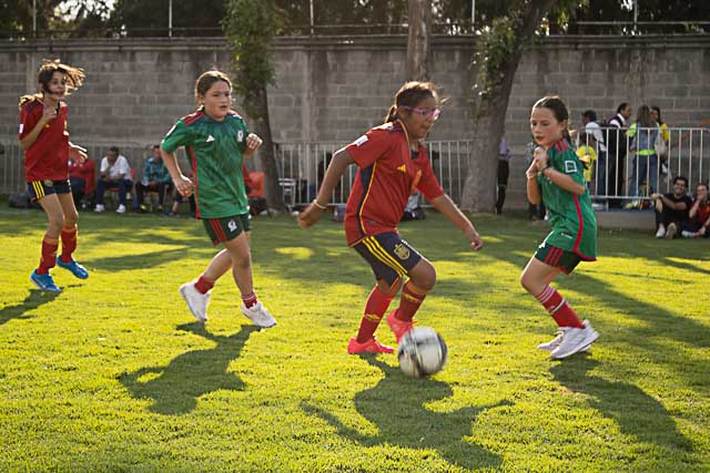 Ir a la Siguiente Foto