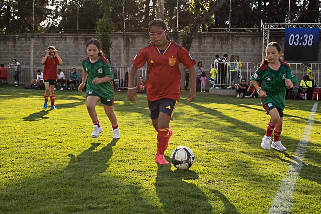 Ir a la Siguiente Foto