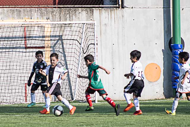 Ir a la Siguiente Foto