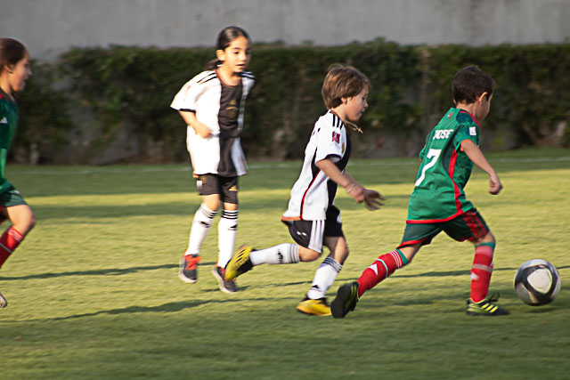 Ir a la Siguiente Foto