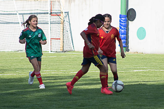 Ir a la Siguiente Foto