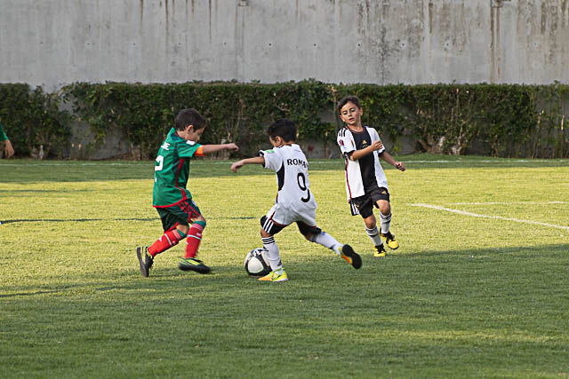 Ir a la Siguiente Foto