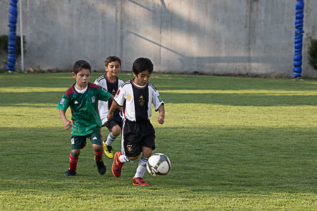 Ir a la Siguiente Foto