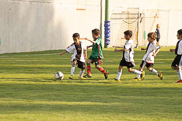 Ir a la Siguiente Foto