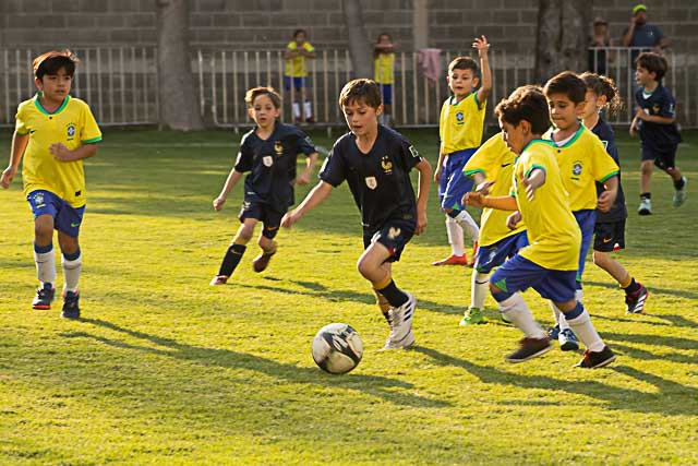 Ir a la Siguiente Foto