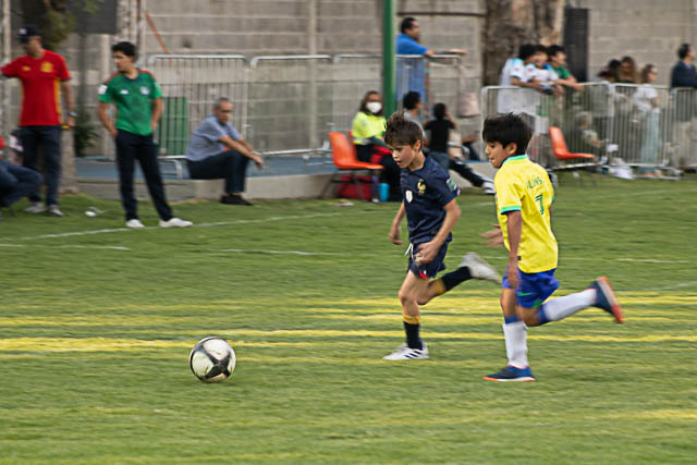 Ir a la Siguiente Foto