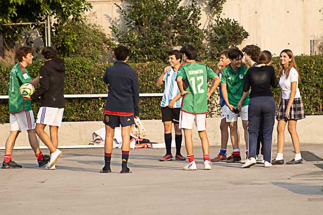 Ir a la Siguiente Foto