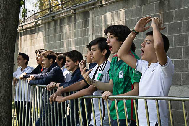 Ir a la Siguiente Foto