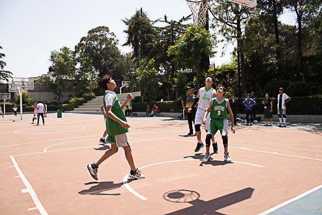 Ir a la Siguiente Foto