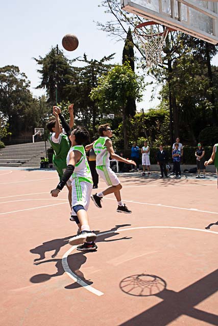 Ir a la Siguiente Foto