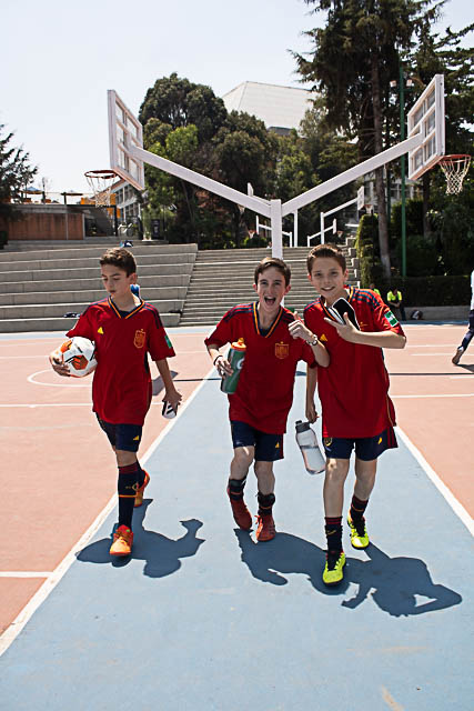 Ir a la Siguiente Foto