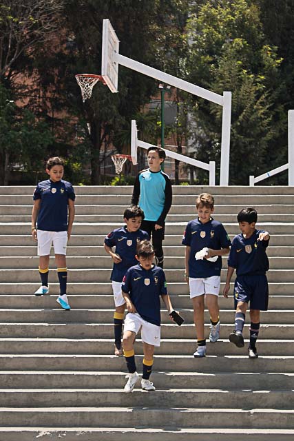 Ir a la Siguiente Foto