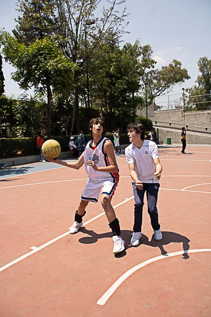 Ir a la Siguiente Foto